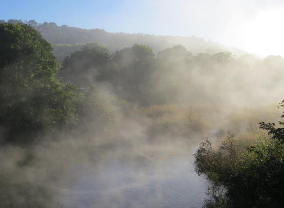 Foggy View