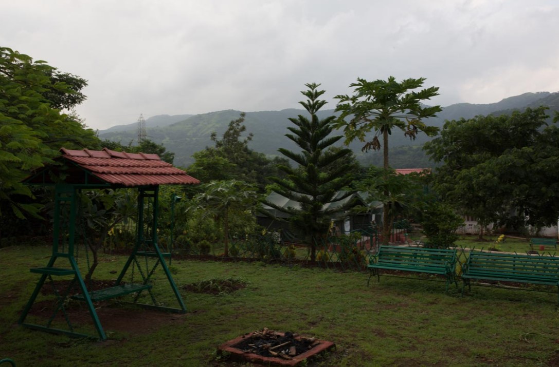 Play Area
