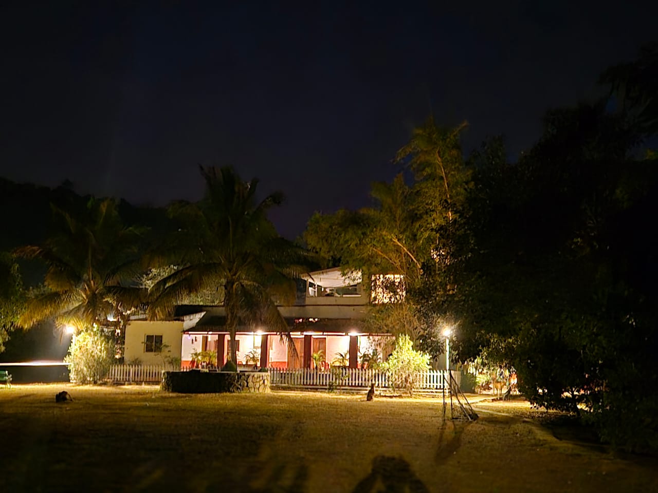 Coconut Cluster Bungalow